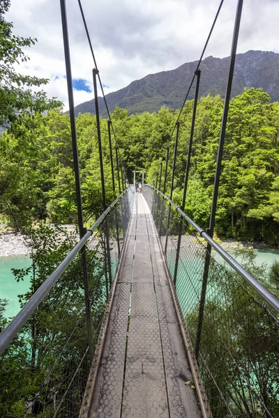 Vista Rio Haast Landsborough Valley Nova Zelândia — Fotografia de Stock