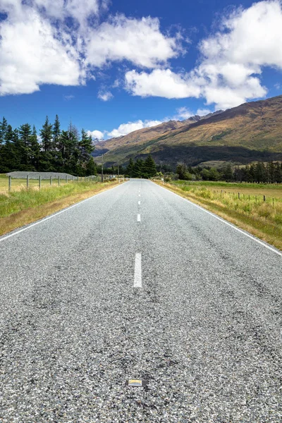 新西兰南部的风景 — 图库照片