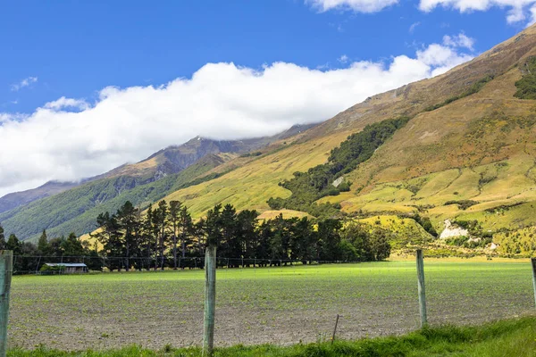 Landschaft Süden Neuseelands — Stockfoto