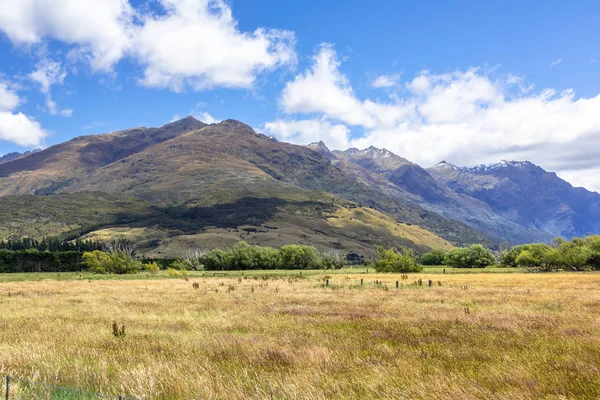 사우스 뉴질랜드의 — 스톡 사진