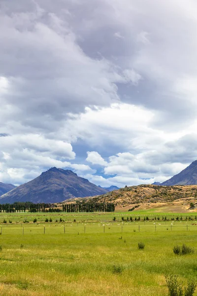 Landschaft Süden Neuseelands — Stockfoto