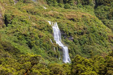 Fiordland Milli Parkı Yeni Zelanda bir görüntü