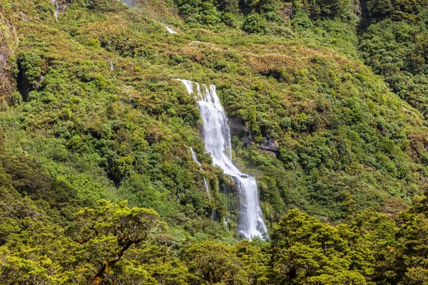 新西兰峡湾国家公园的形象 — 图库照片