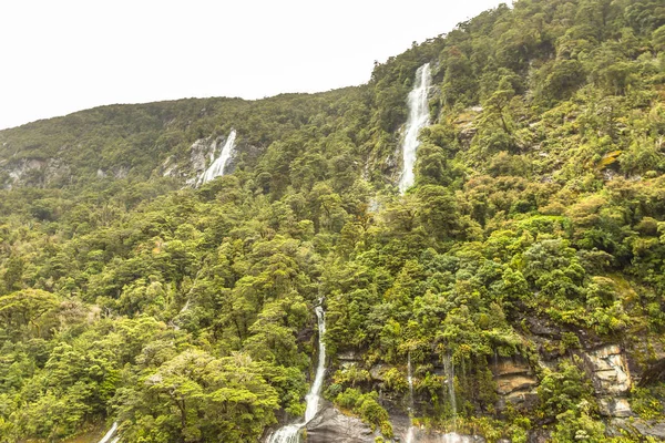 新西兰峡湾国家公园的形象 — 图库照片