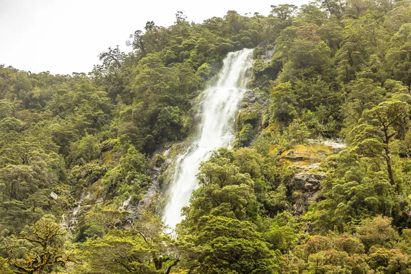 Ein Bild Des Fiordland Nationalparks Neuseeland — Stockfoto