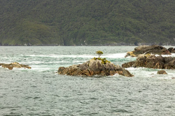 Mening Van Twijfelachtige Correcte Fiordland Nationaal Park Nieuw Zeeland — Stockfoto