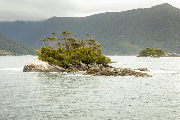 Tekintettel Kétes Sound Fiordland Nemzeti Park Zéland — Stock Fotó