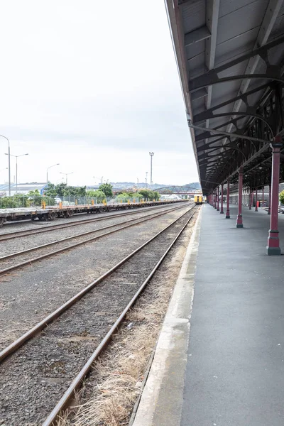 Vista Della Stazione Ferroviaria Dunedin Sud Della Nuova Zelanda — Foto Stock