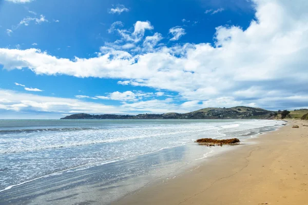 Uitzicht Keien Het Strand Van Moeraki Nieuw Zeeland — Stockfoto