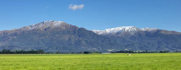 Över Mount Taylor Och Hutt Landskap Södra Nya Zeeland — Stockfoto