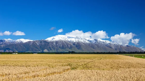 Uitzicht Mount Taylor Hutt Landschap Het Zuiden Van Nieuw Zeeland — Stockfoto
