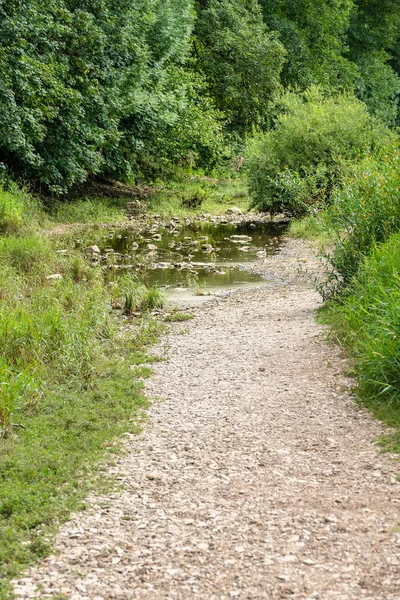 Дунай исчезает в Donaueschingen Германии — стоковое фото