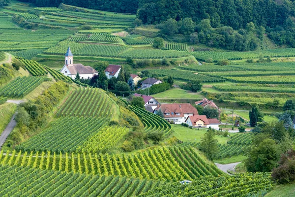 Landschaft Breisgau Bei Tag Deutschland — Stockfoto
