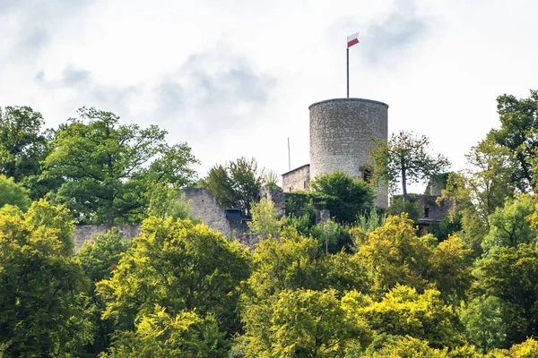 Ruína do castelo em Nagold Alemanha — Fotografia de Stock