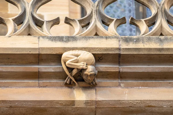 Close Dos Detalhes Igreja São Teobaldo Thann — Fotografia de Stock