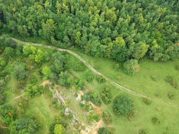 Uitzicht Forest Hill Zuid Duitsland — Stockfoto