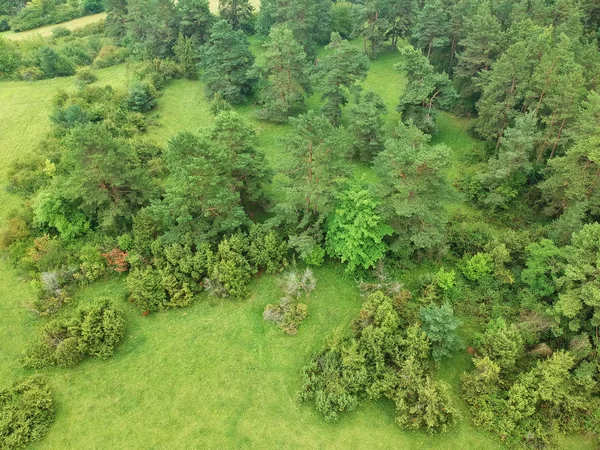 Vista Colina Florestal Sul Alemanha — Fotografia de Stock