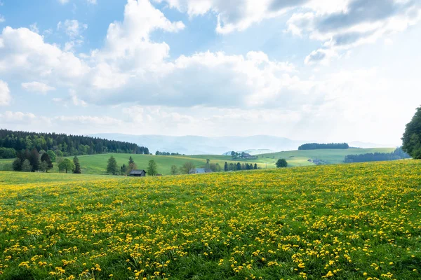 Krásný výhled na krajinu jižní Německo — Stock fotografie