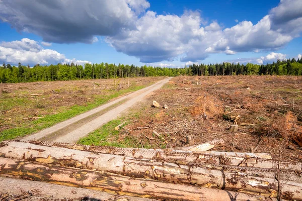 Cleared forest outdoor scenery south Germany — Stock Image Cleared forest outdoor scenery south Germany Royalty Free Stock Photos