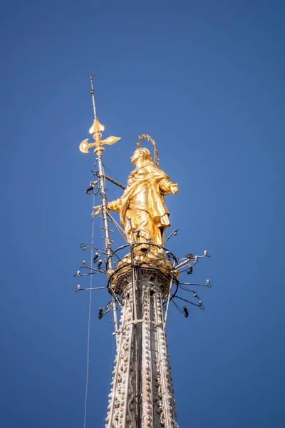 Χρυσό άγαλμα της Μαντόνα στον καθεδρικό ναό του Μιλάνου Ιταλία — Φωτογραφία Αρχείου