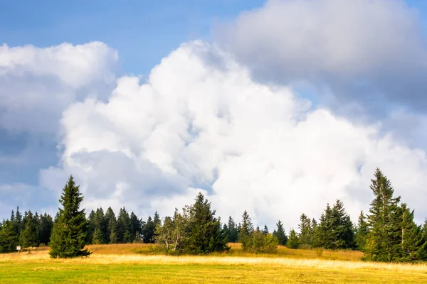 Paisaje cerca de Friburgo Breisgau sur de Alemania — Foto de Stock