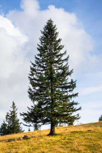 Paisagem perto de Freiburg Breisgau sul da Alemanha — Fotografia de Stock