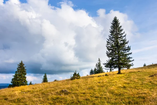 Landschaps landschap bij Freiburg Breisgau Zuid-Duitsland — Stockfoto