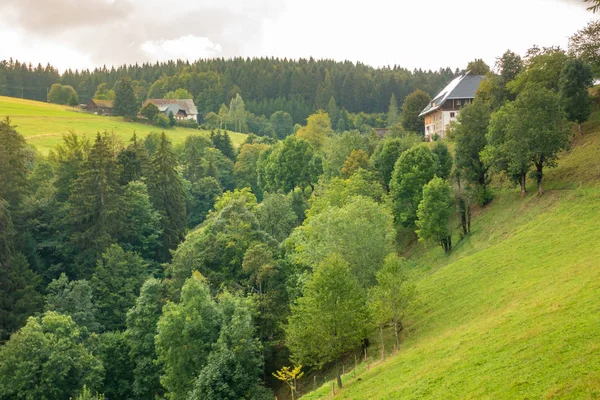 Krajinná krajina nedaleko Freiburgu Breisgau jižní Německo — Stock fotografie