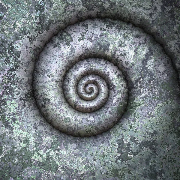 Petrification spiral — Stock Photo, Image