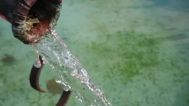 Повільний Рух Потоку Води Фонтану — стокове відео