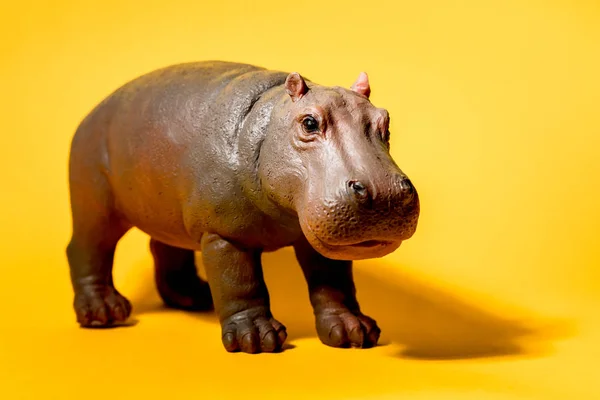 Hippopotamus figure isolated on red background — Stock Photo, Image
