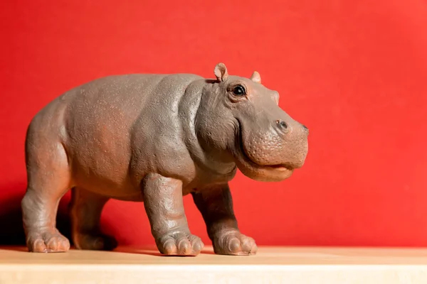 Hippopotamus figure isolated on red background — Stock Photo, Image