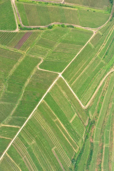 Flygvy vingård landskap i Kaiserstuhl Tyskland — Stockfoto