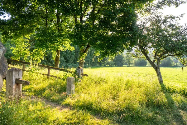 Paisagem rural com luz solar — Fotografia de Stock