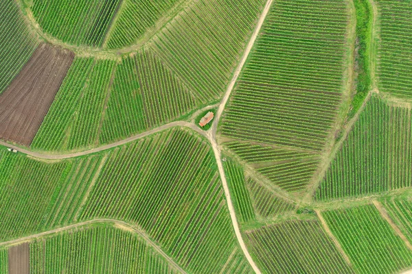 Pohled na vzdušný výhled vinice v Kaiserstuhl Německo — Stock fotografie