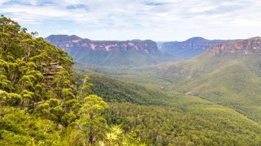 Blue Mountains Avustralya panoraması