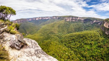 Blue Mountains Avustralya balıkgözü lens