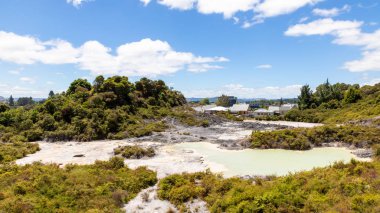 Whakarewarewa Rotorua Yeni Zelanda 'da jeotermal aktivite