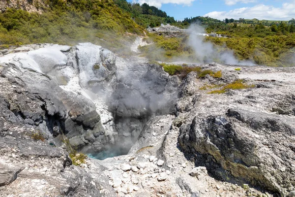 Atividade geotérmica em Whakarewarewa Rotorua Nova Zelândia — Fotografia de Stock
