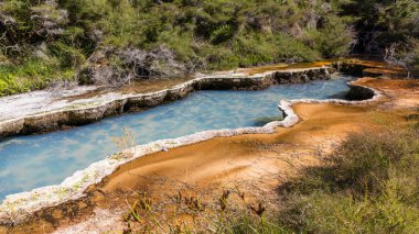 waimangu volkanik aktiviteler