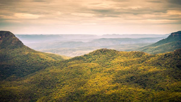 Blue Mountains ออสเตรเลียพาโนรามา — ภาพถ่ายสต็อก