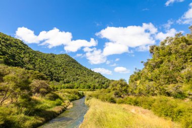 waimangu volkanik aktiviteler