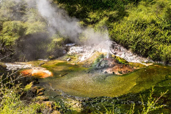 Actividades volcánicas en waimangu — Foto de Stock