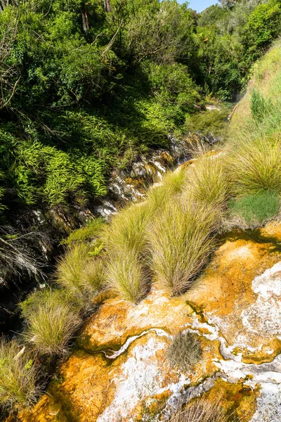 Vulkanische activiteiten op waimangu — Stockfoto