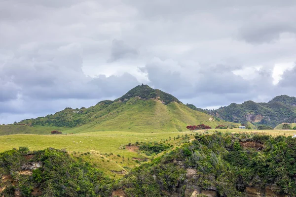 Paesaggio, Nuova Zelanda — Foto Stock