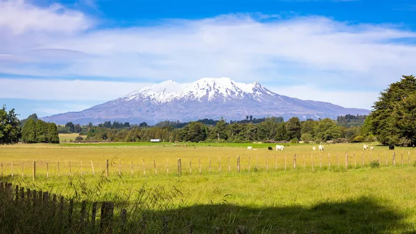 Volcán del Monte Ruapehu en Nueva Zelanda — Foto de Stock