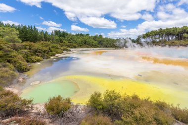 Yeni Zelanda Rotorua jeotermal aktivite