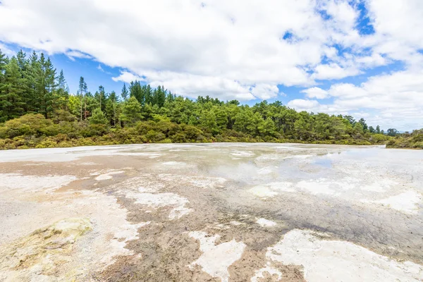 Atividade geotérmica em Rotorua, na Nova Zelândia — Fotografia de Stock