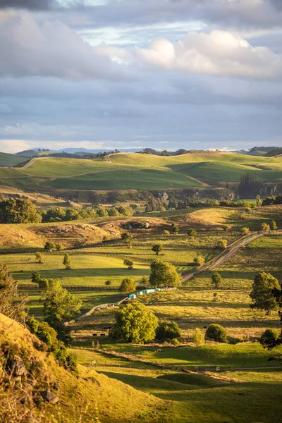 Sunset landscape New Zealand north island — Stock Photo, Image