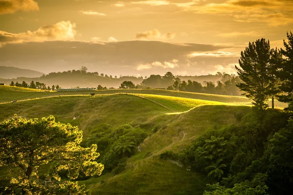 Sunset landscape New Zealand north island — Stock Photo, Image
